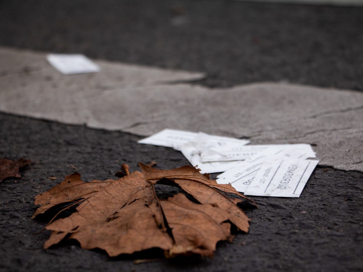 Gibt es ein demokratisches Recht auf&nbsp;Dummheit?